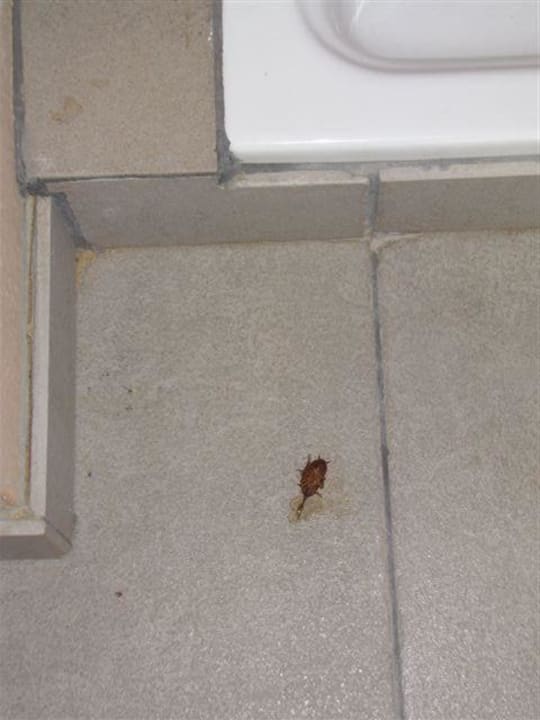 Na tarasie Apartamentos Cordial Mogán Valle