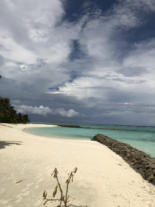 Ausblick Summer Island Maldives