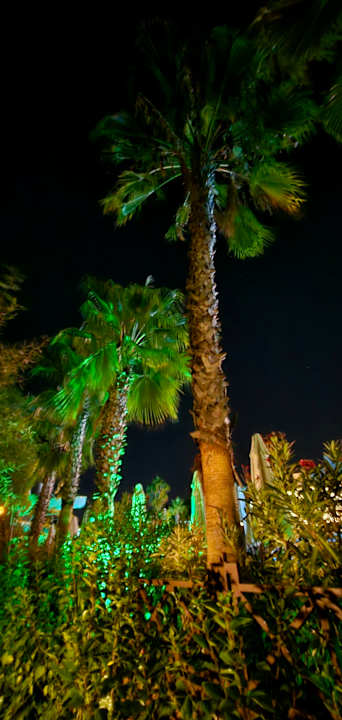 Gartenanlage Alba Resort Hotel