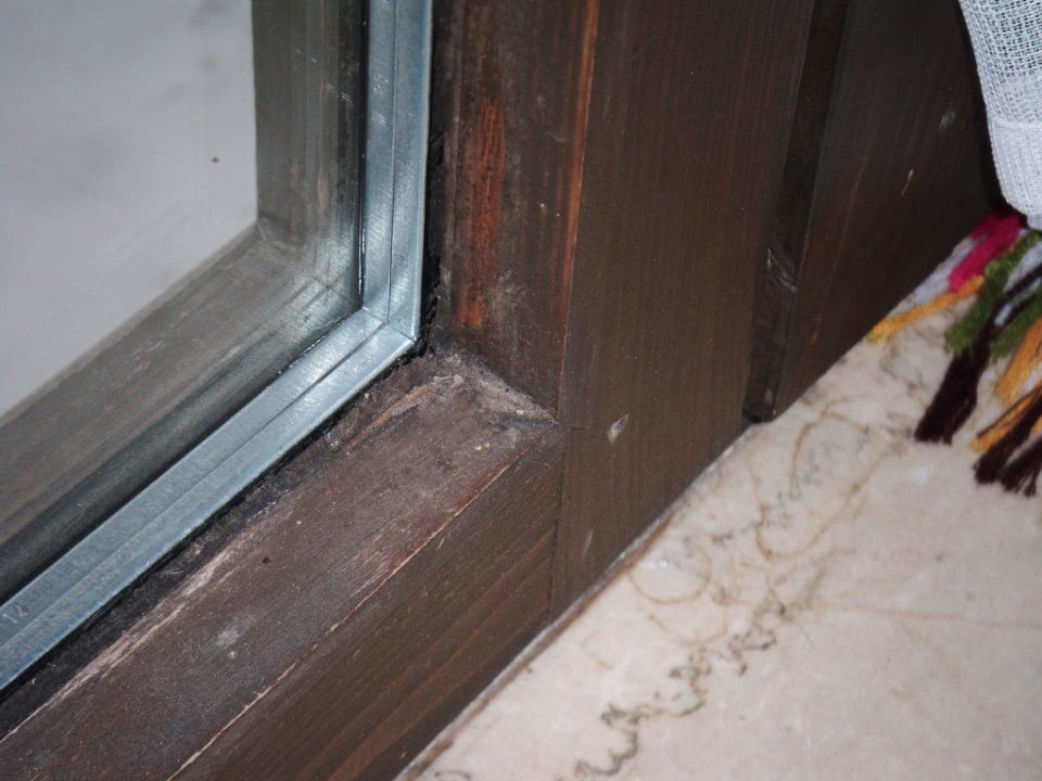 Schimmel am Fenster Hotel Alpenhof