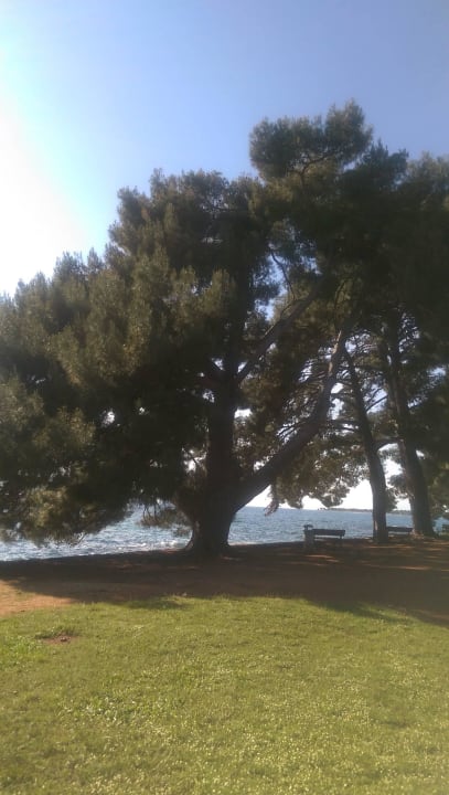 Blich vom Balkon Valamar Parentino Hotel