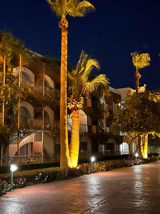 Sonstiges Desert Rose