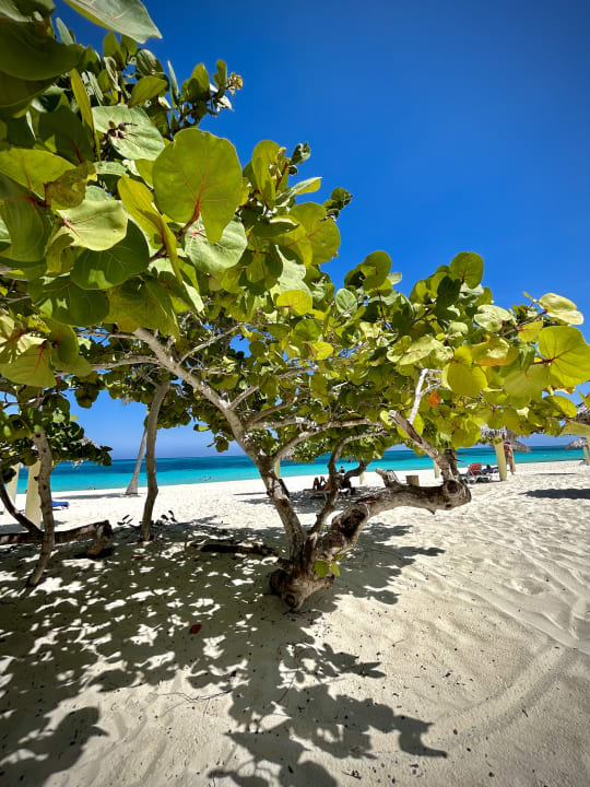 Strand Sol Rio De Luna y Mares