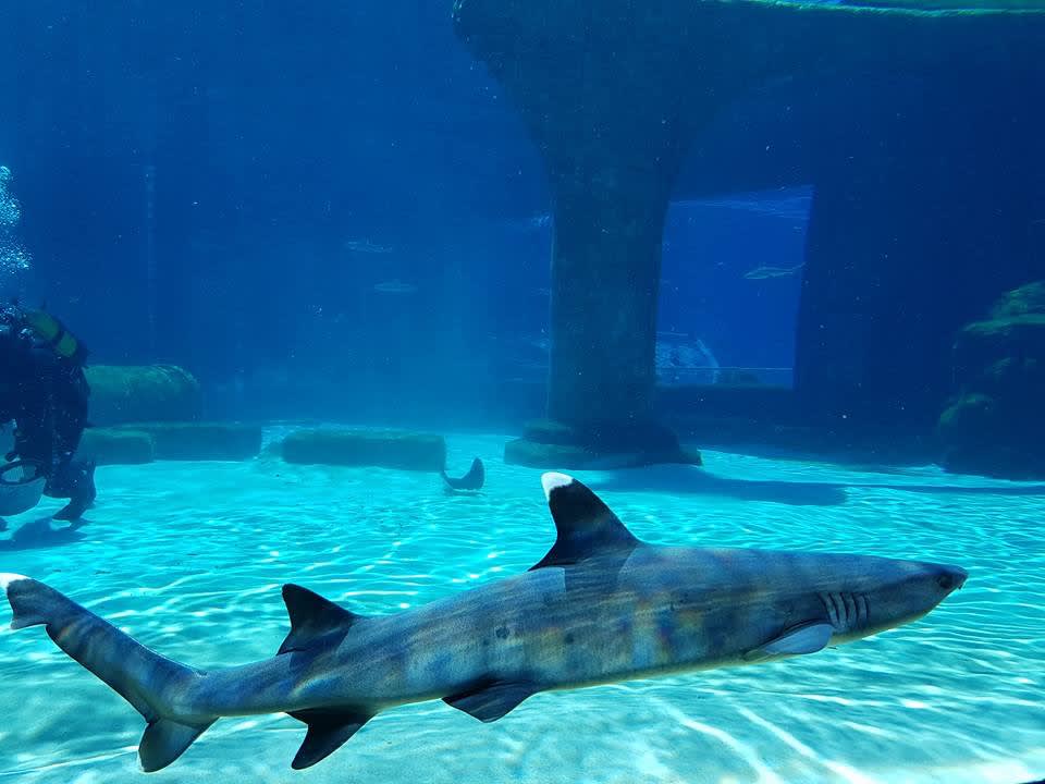 Ausblick The Land of Legends Kingdom Hotel