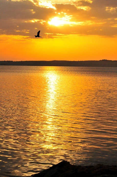 Sonnenuntergang Rubondo Island Camp