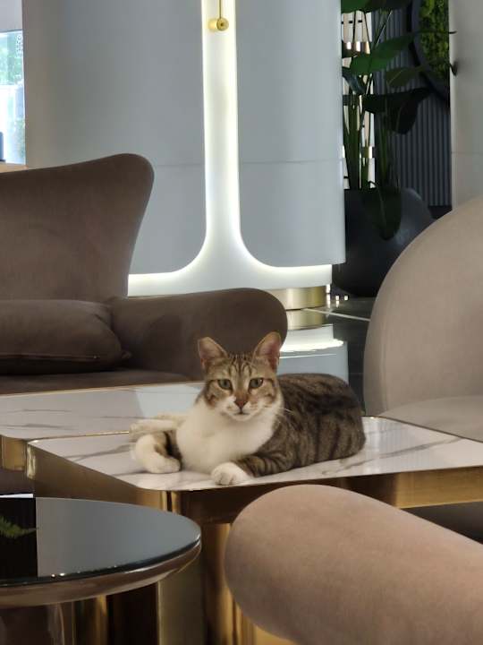 Lobby Annabella Diamond Hotel & Spa