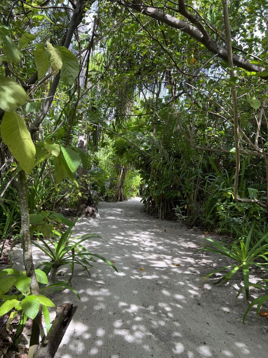Gartenanlage NH Collection Maldives Havodda Resort