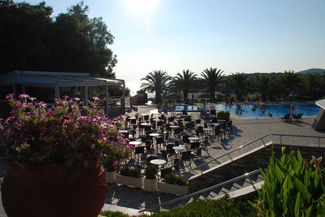 Poolbar Blue Dolphin Resort Hotel