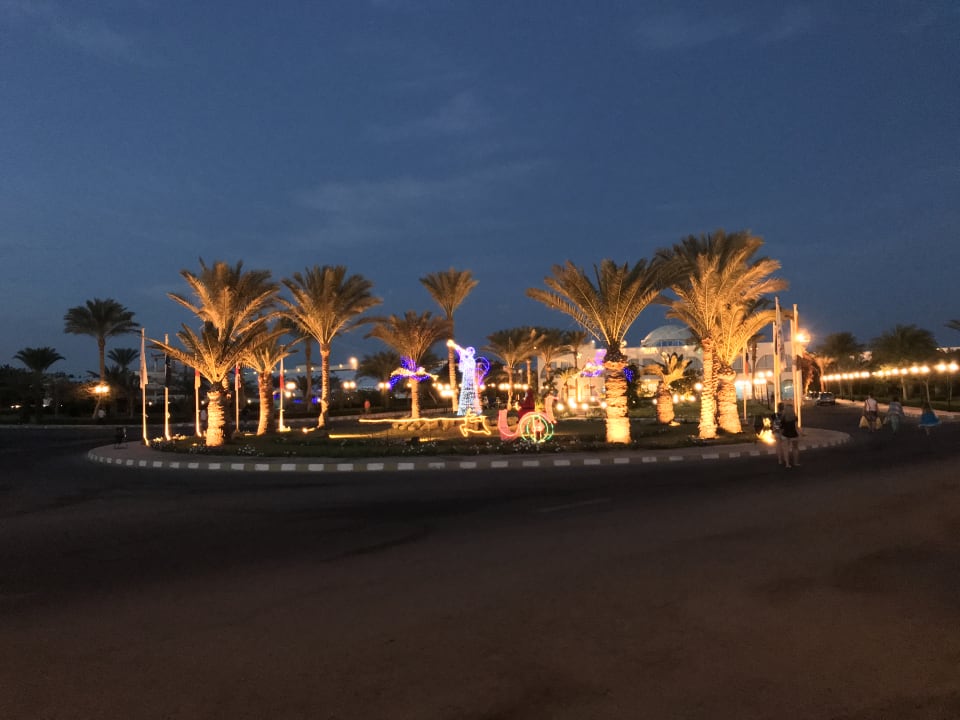 Außenansicht Desert Rose