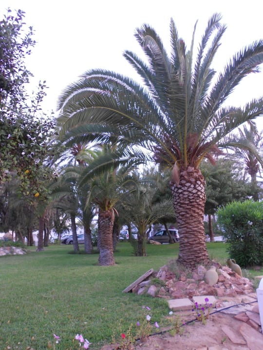 Hotel Meninx Hotel Meninx Djerba