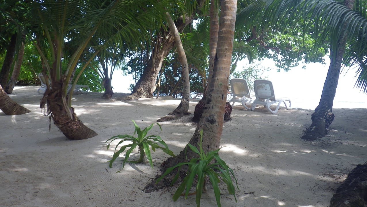 Genug Platz zum Ausruhen Kuramathi Maldives