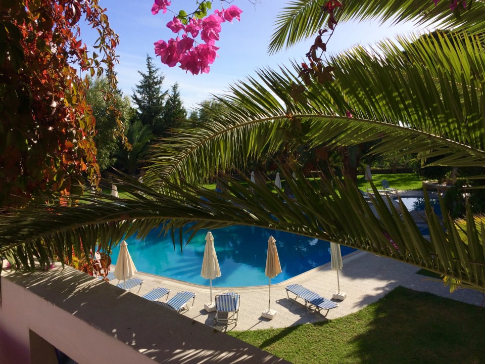 Pool Ekaterini Hotel