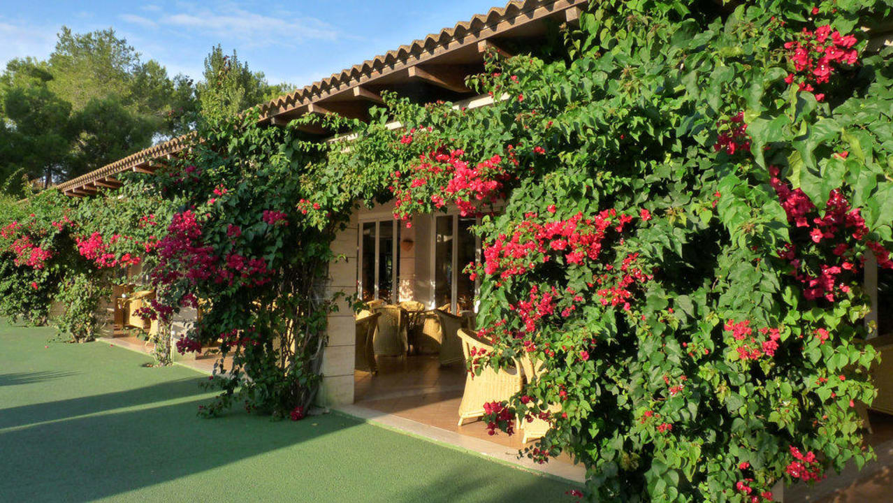 Schöne Gartenanlage Prinsotel La Dorada