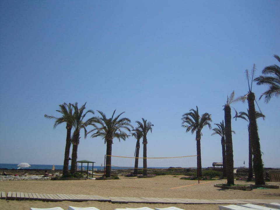 Palmen auf Halbinsel Oz Hotels Incekum Beach
