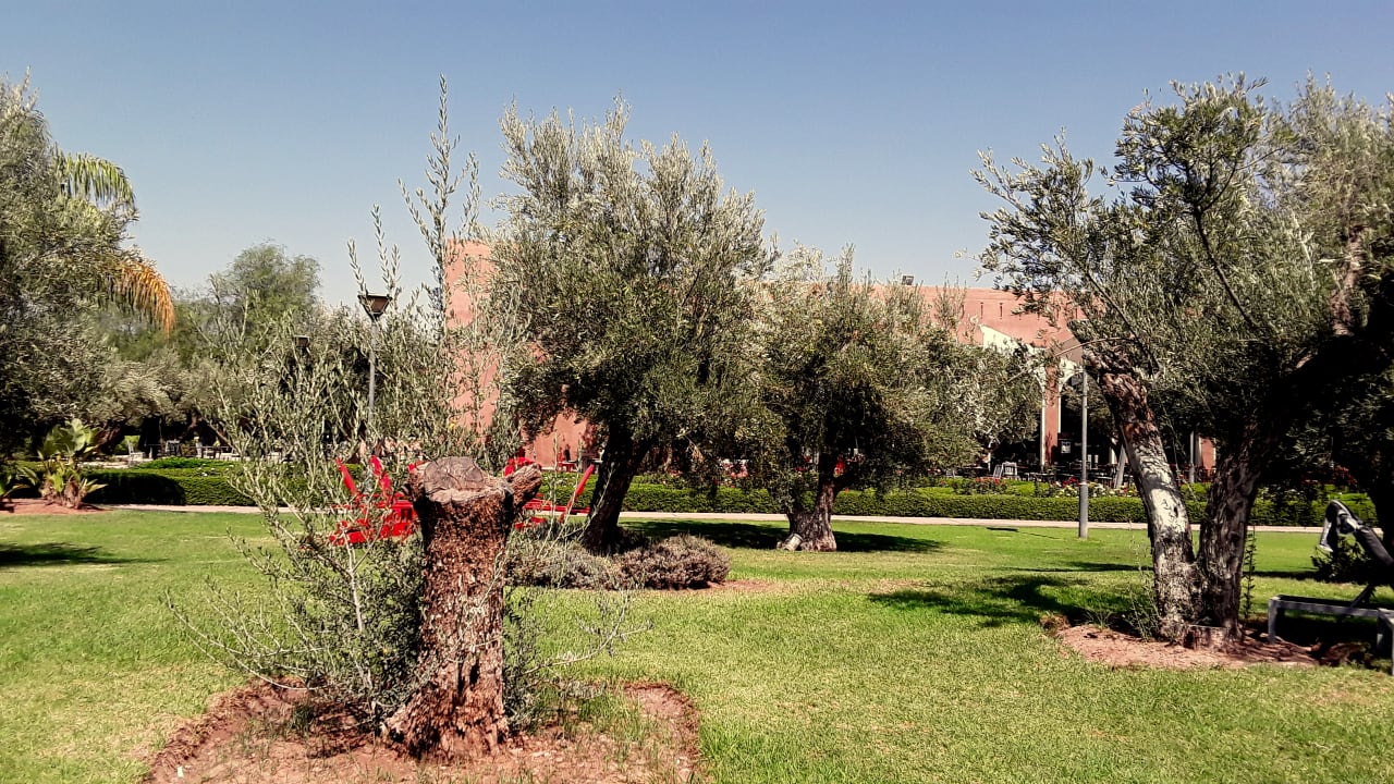 Gartenanlage Hotel Kenzi Club Agdal Medina