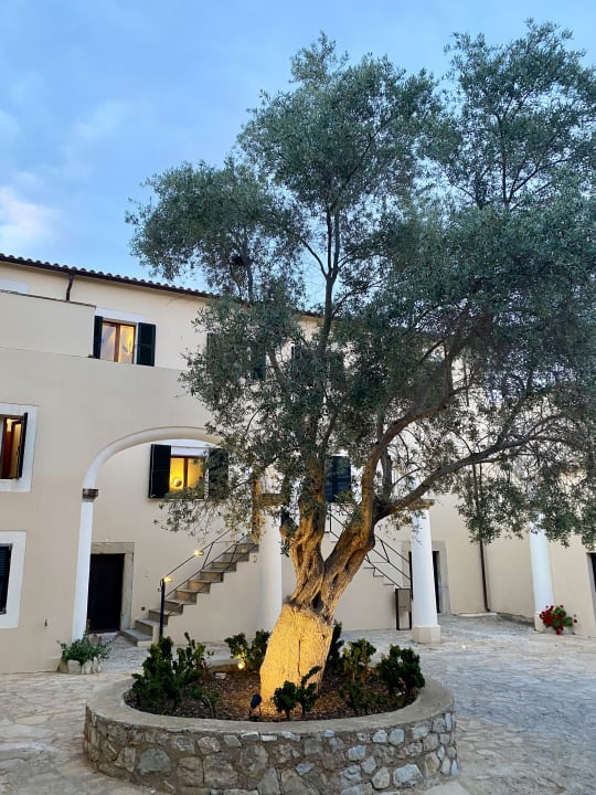 Außenansicht Carrossa Hotel & Spa