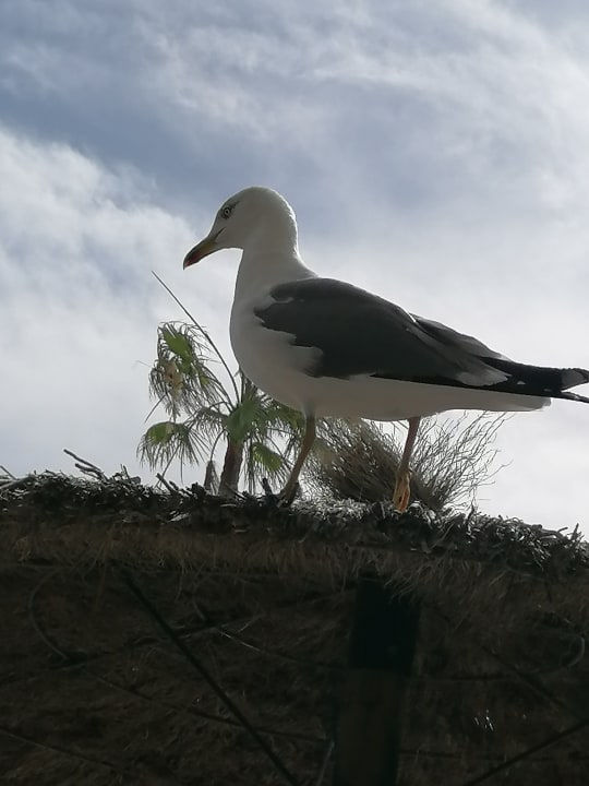 Sonstiges AluaVillage Fuerteventura