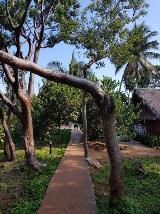 Strand Sirenis Tropical Varadero