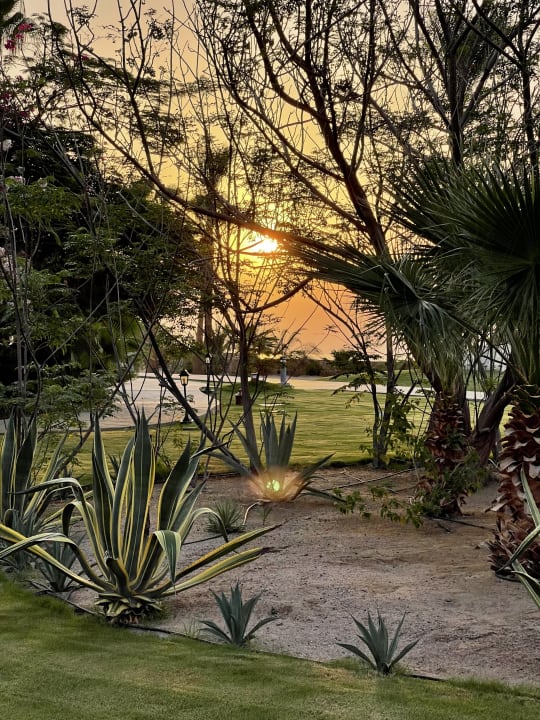 Gartenanlage Steigenberger Coraya Beach - Adults only