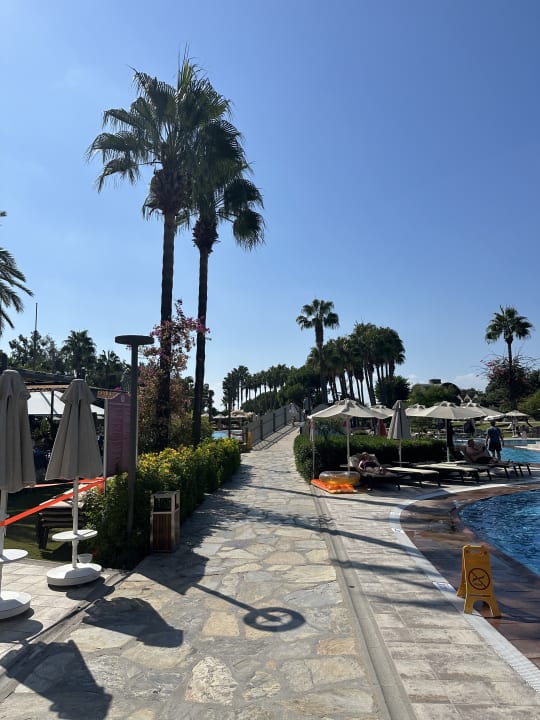Gartenanlage Arum Barut Collection