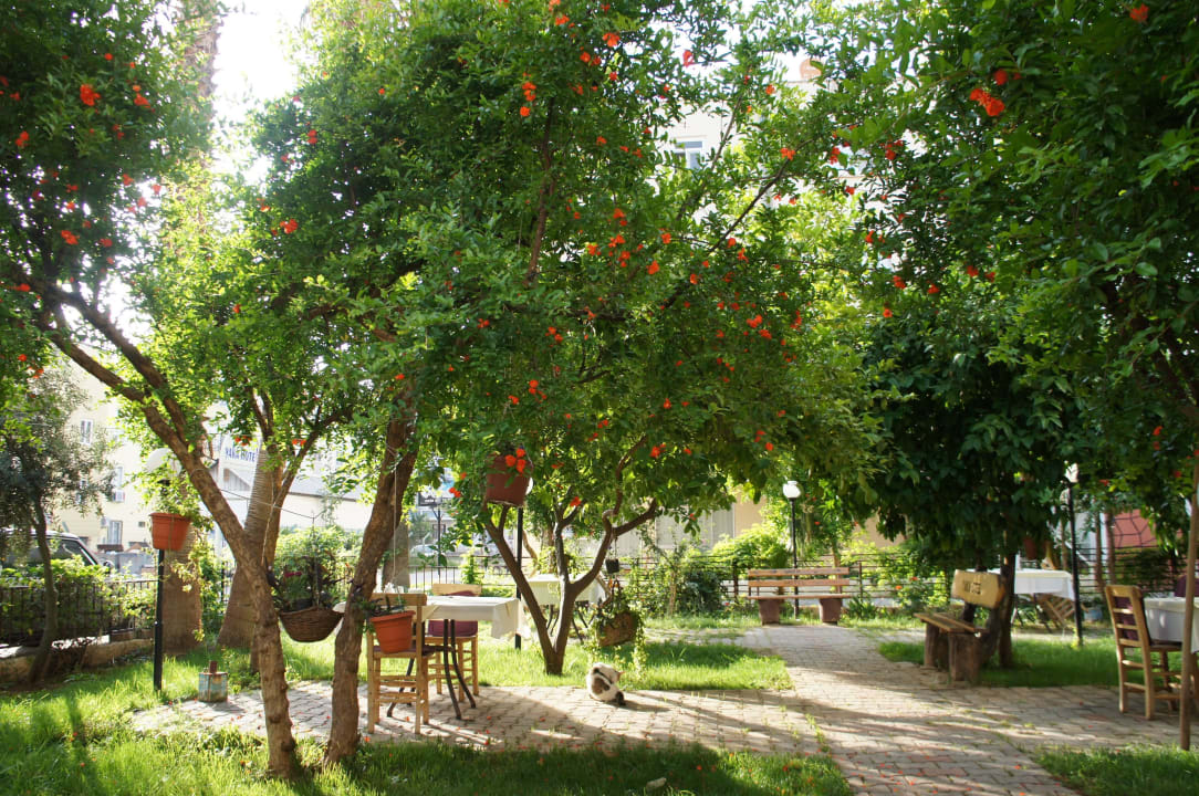 Yaka Relax Garden. Hotel Yaka