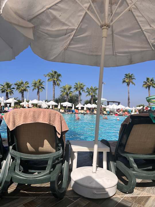 Pool Alba Resort Hotel