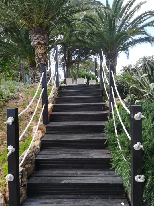 Gartenanlage PortoBay Falésia