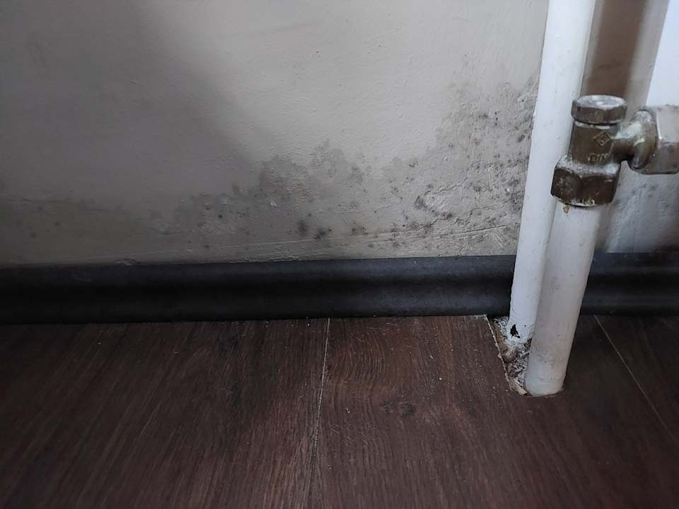 Zimmer Hotel Annahof