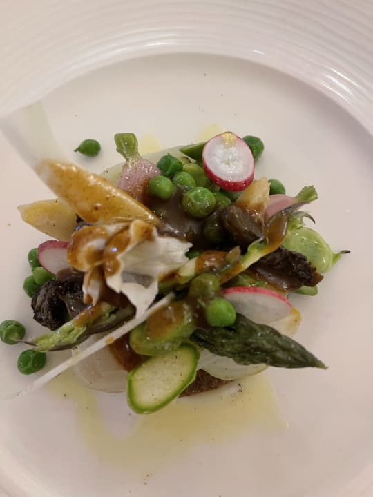 Gastro Hotel Benvengudo