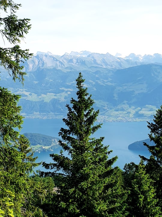 Ausblick Rigi Kaltbad Swiss Quality Hotel