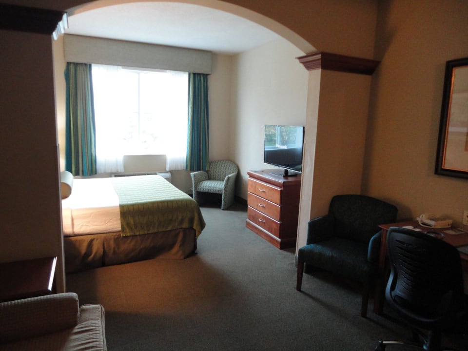 Zimmerübersicht Best Western Plus Hotel Miami Airport West Inn & Suites