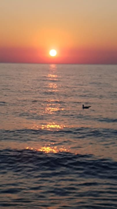 Strand Pension Gästehaus Am Purkshof