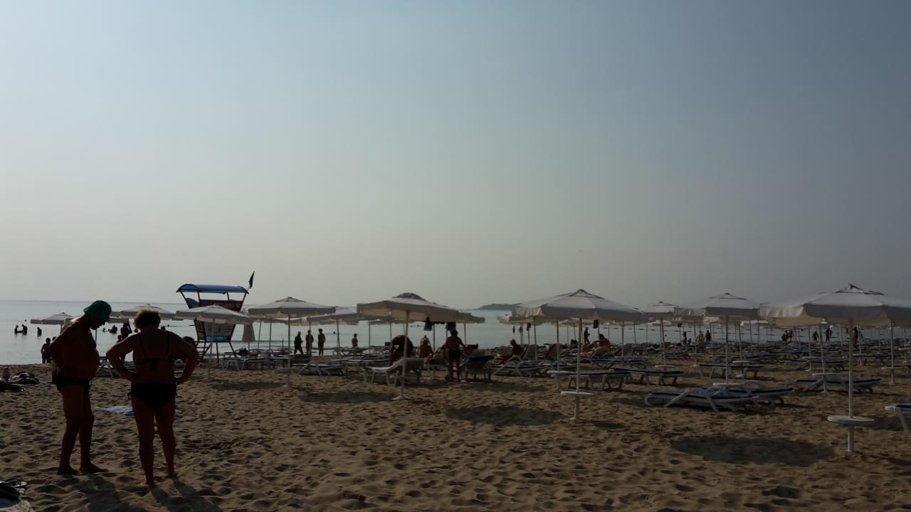 Strand mit Liegen und Schirmen zum Mieten HVD Club Bor