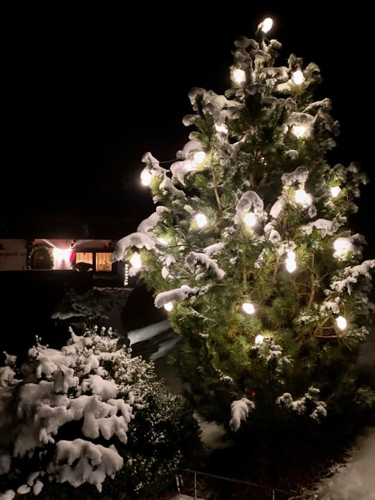 Gartenanlage Bergwald-Appartements -Alpbach