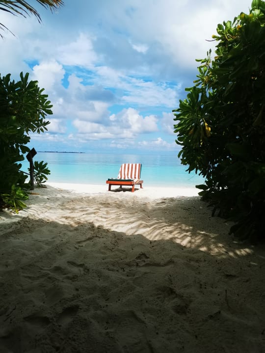 Ausblick Coco Palm Dhuni Kolhu