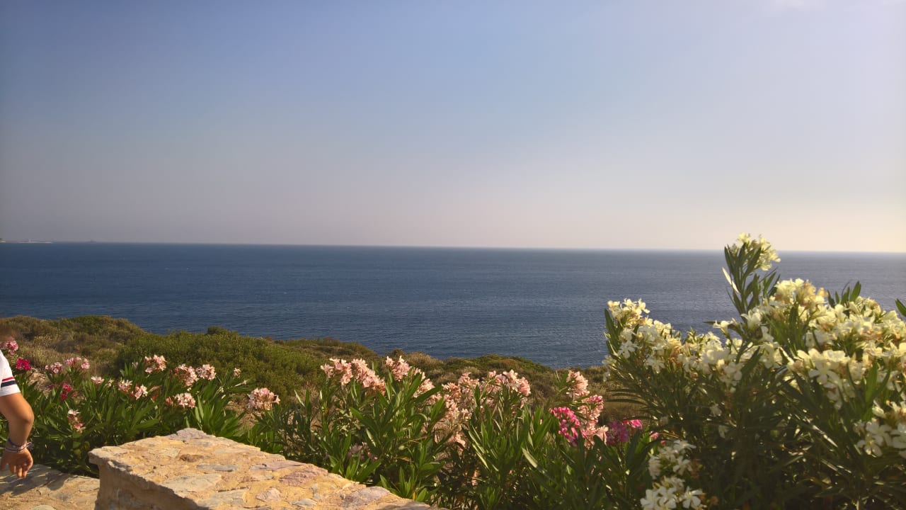 Ausblick Hotel Kalithea Horizon Royal