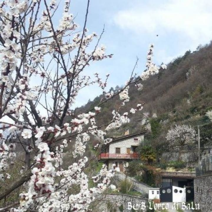 Il B&B all'arrivo B&B L'Orto di BaLù