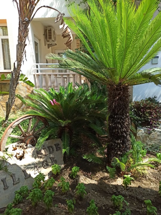 Ausblick Side Village Hotel