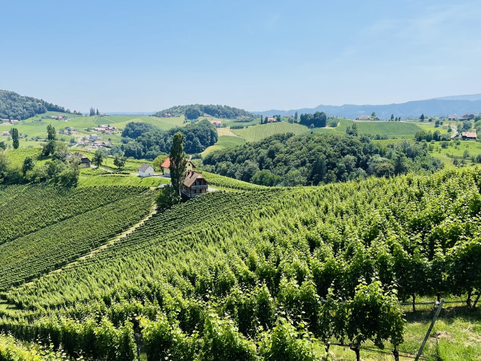 Ausblick Weinhotel Maitz Wolfgang