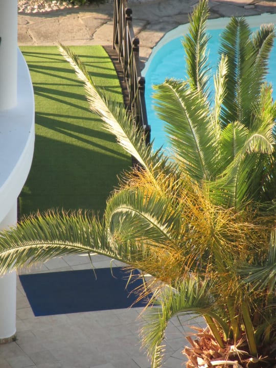 Pool Hotel Calypso Beach