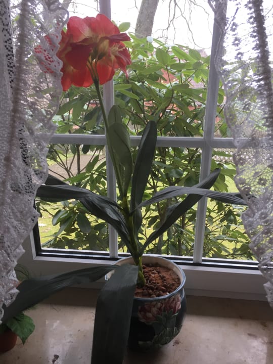 Zimmer Stössels Hotel