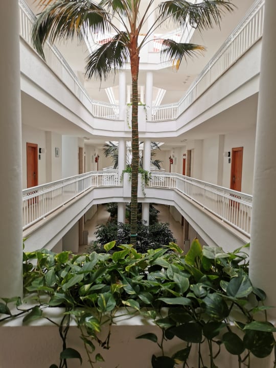 Zimmer Prinsotel La Dorada