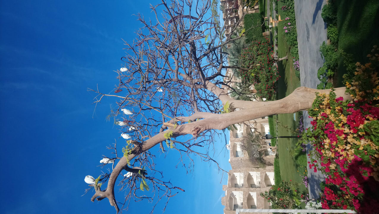 Gastro Brayka Bay Resort