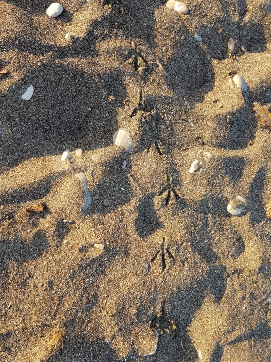 Strand TUI KIDS CLUB Alex Beach