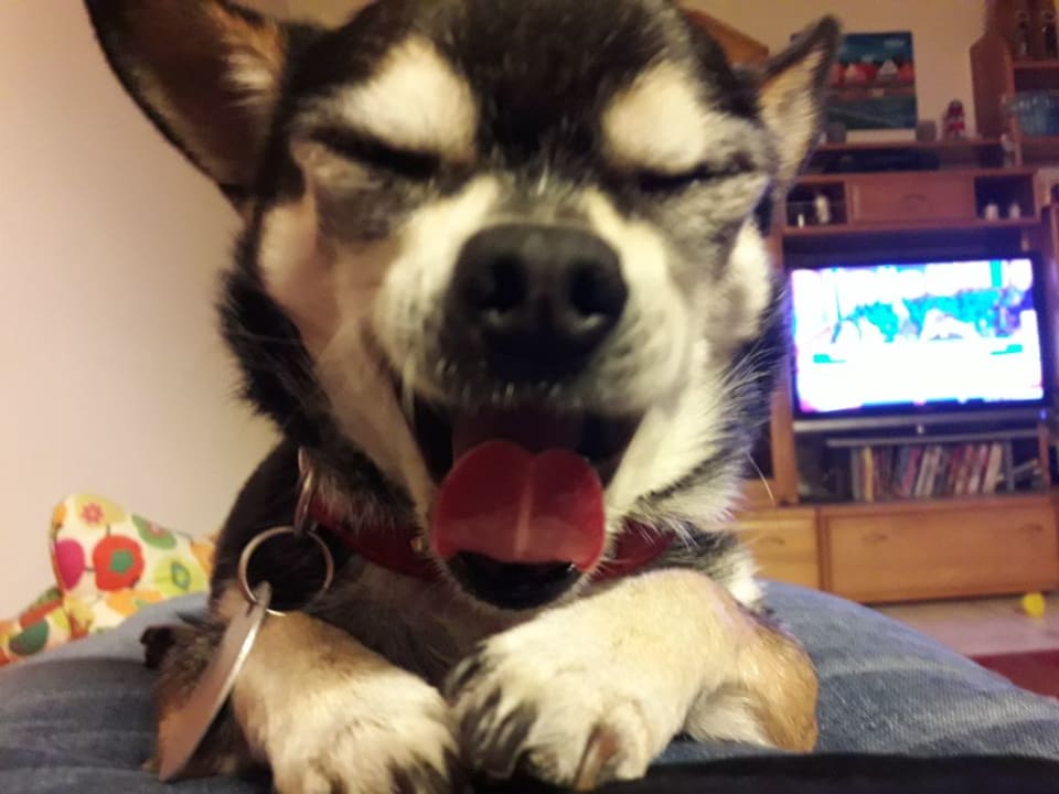 Sonstiges Hotel Klostermühle