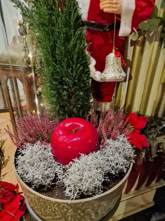 Außenansicht Hotel Kohlerhof