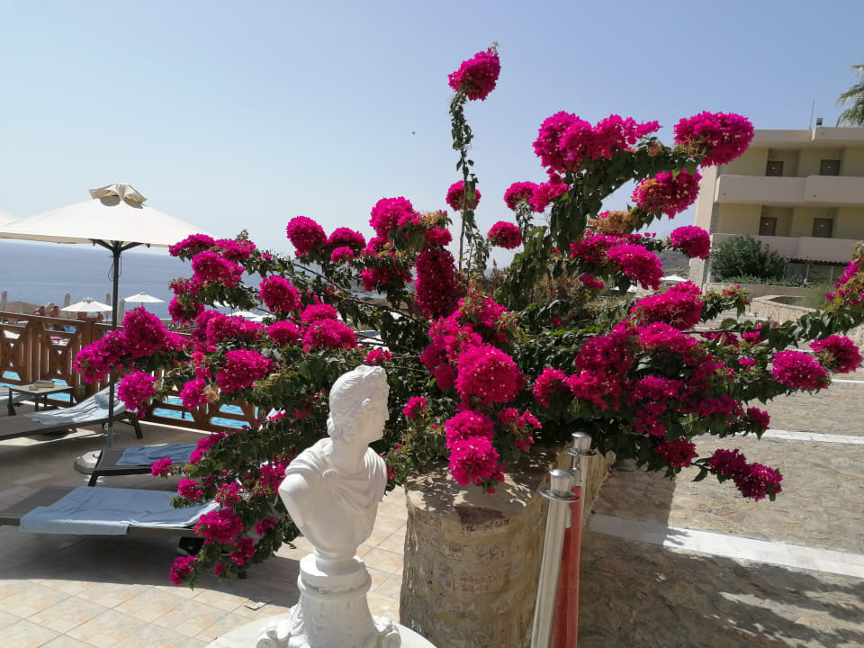 Ausblick Hotel Kalithea Horizon Royal