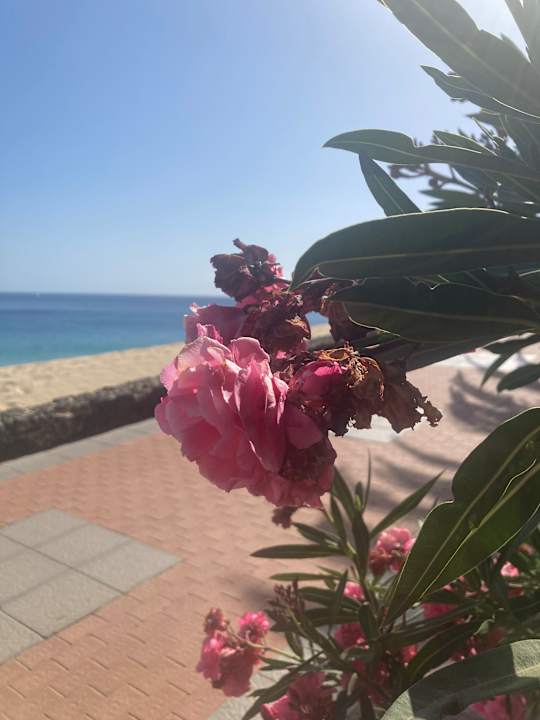 Ausblick Hotel Riu Palace Jandia