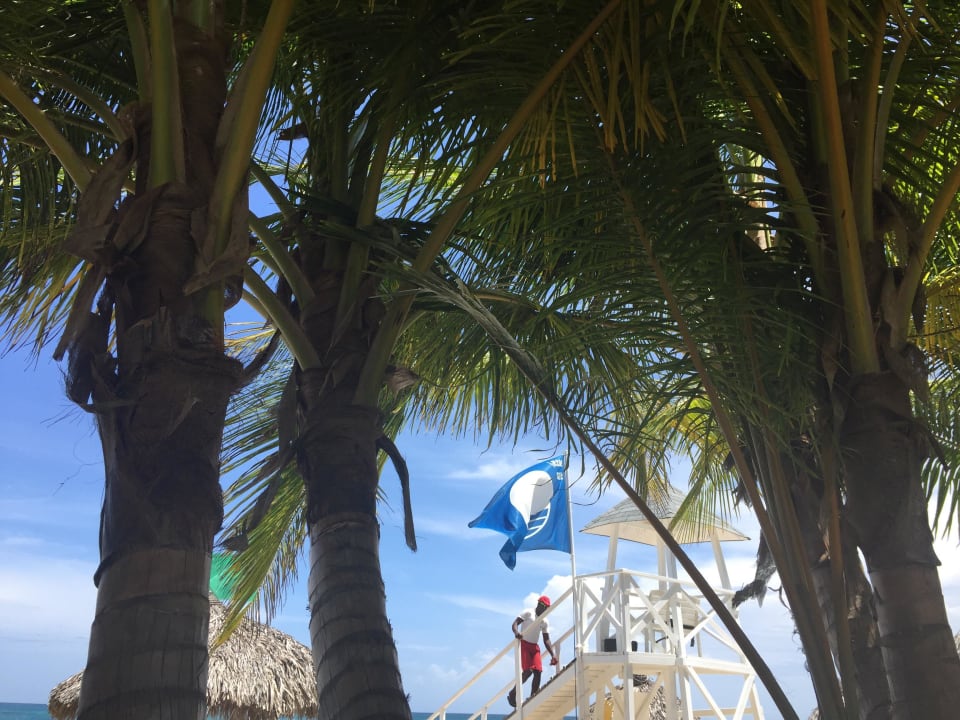 Schattiges Plätzchen unter Palmen Bahia Principe Grand El Portillo