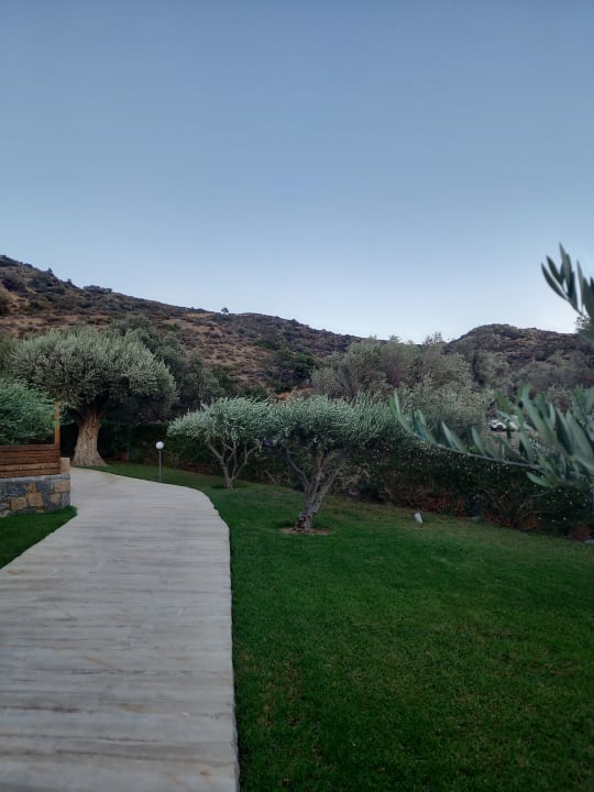 Gartenanlage Paralos Irini Mare